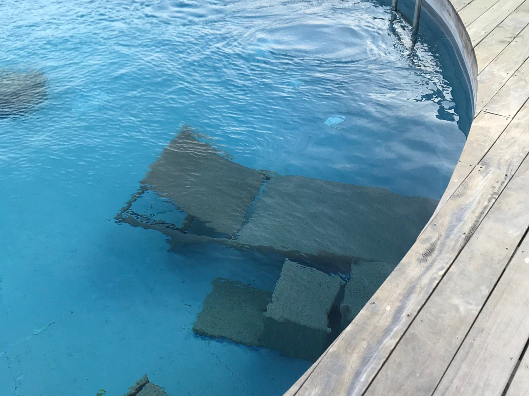 Hotel Carre Noir主图