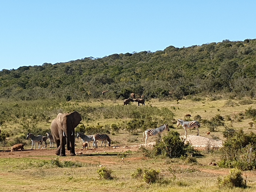 Claim Victory-Bellville必去景点