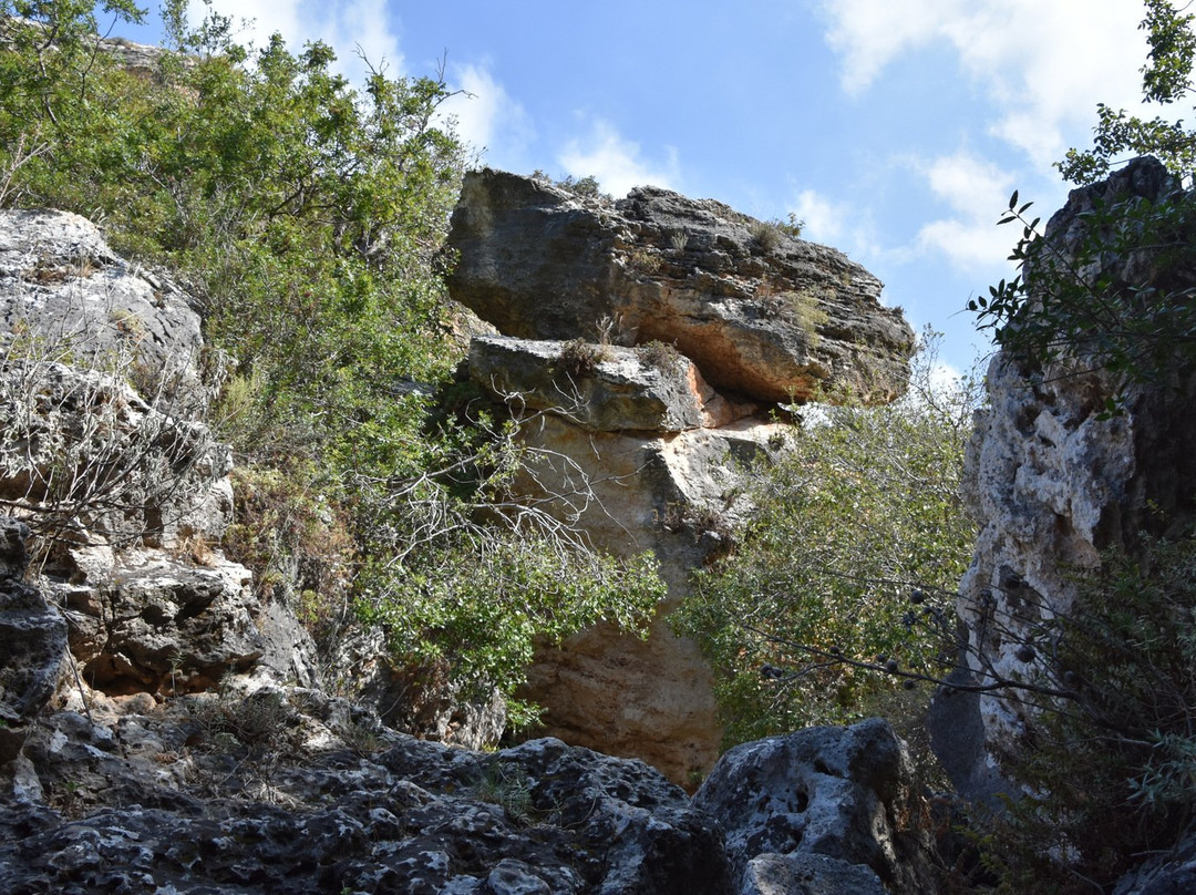 Nahal Sfunim-海法区必去景点