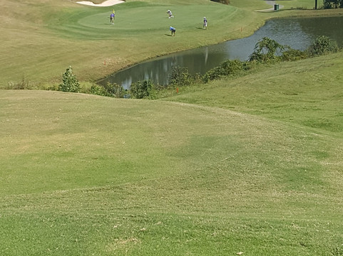 Stoney Creek-Whitsett必去景点