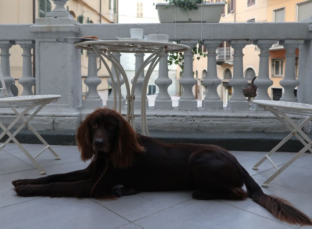 La Terrazza Vercelli Bed & Charme主图