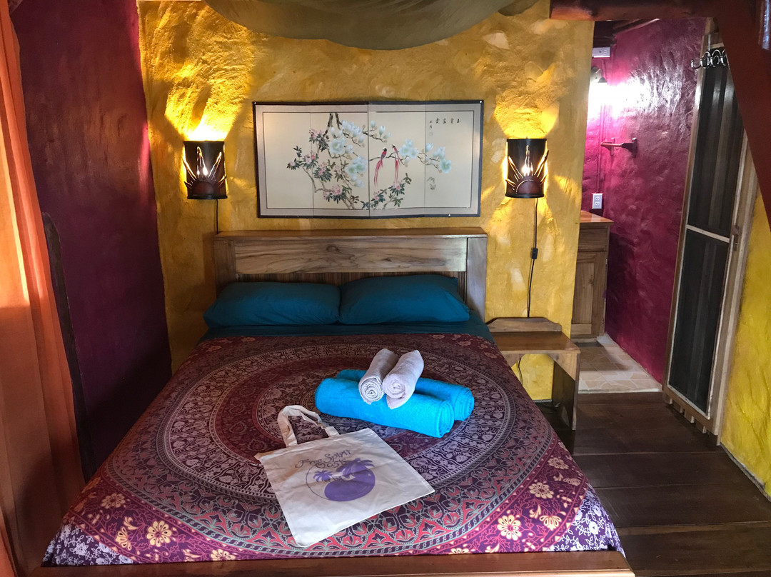 Free Spirit Oasis主图