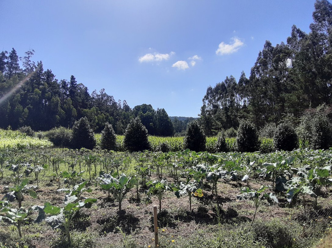 Albergue Edreria