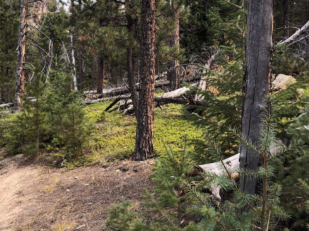 Alderfer/Three Sisters Park-Evergreen必去景点