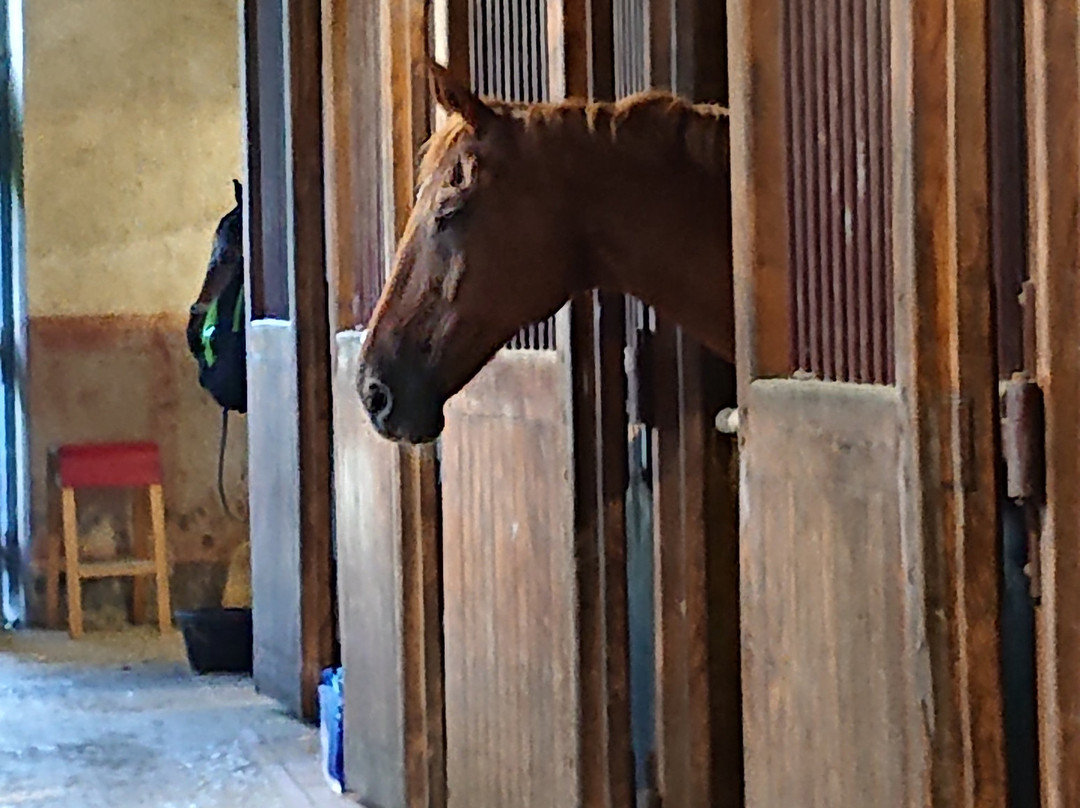 LE HARAS DE TARBES-塔布必去景点