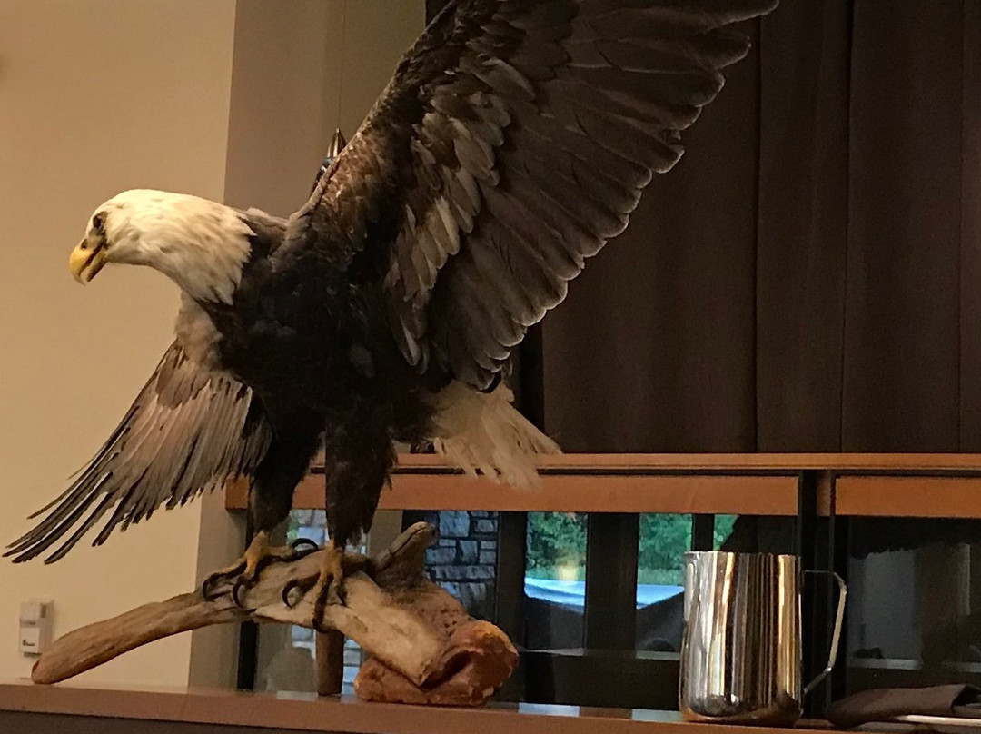 Tourisme Wendake-温达基必去景点