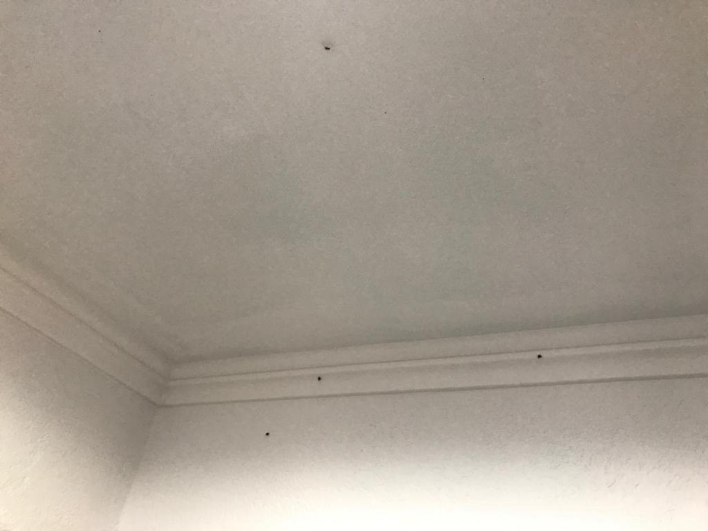 Spyridoula Apartments主图