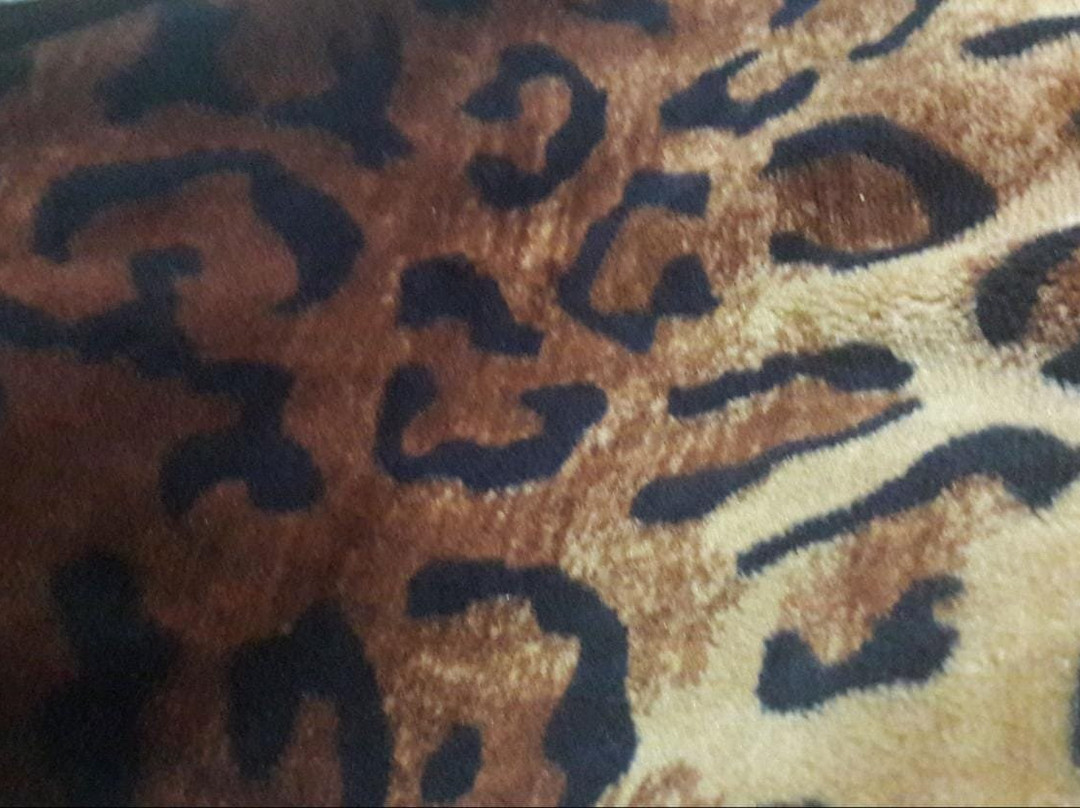 Don Diego Hostal主图