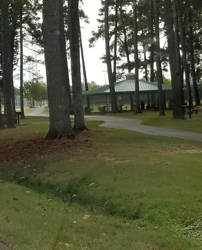 Olive Branch City Park-奥利夫布兰奇必去景点