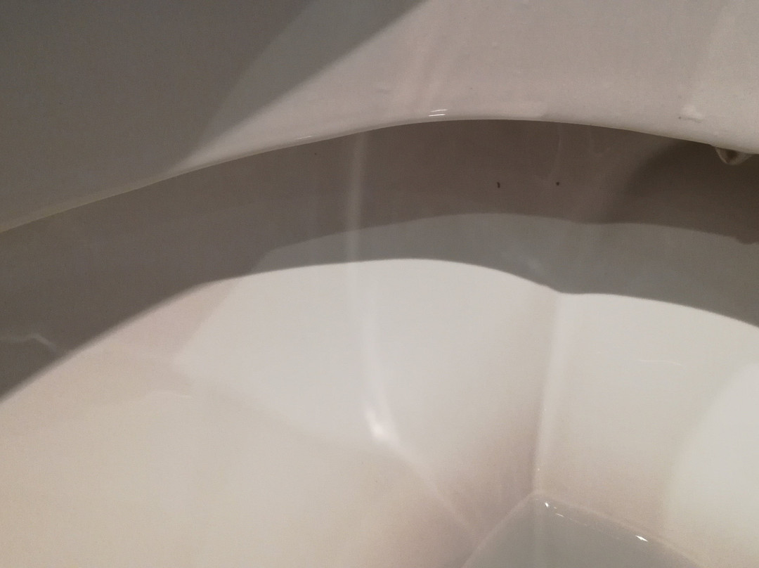 Hotel les Pielettes主图