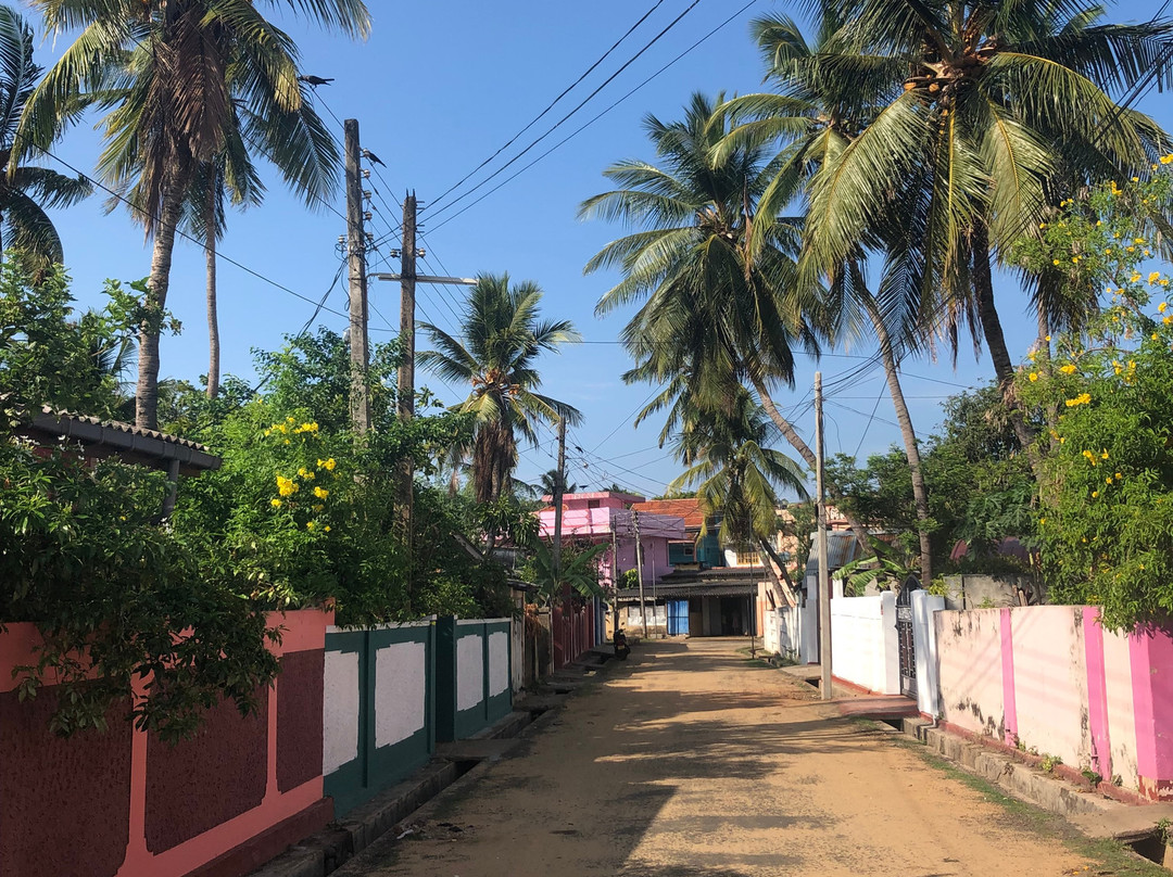 Trinco Blue Waves主图