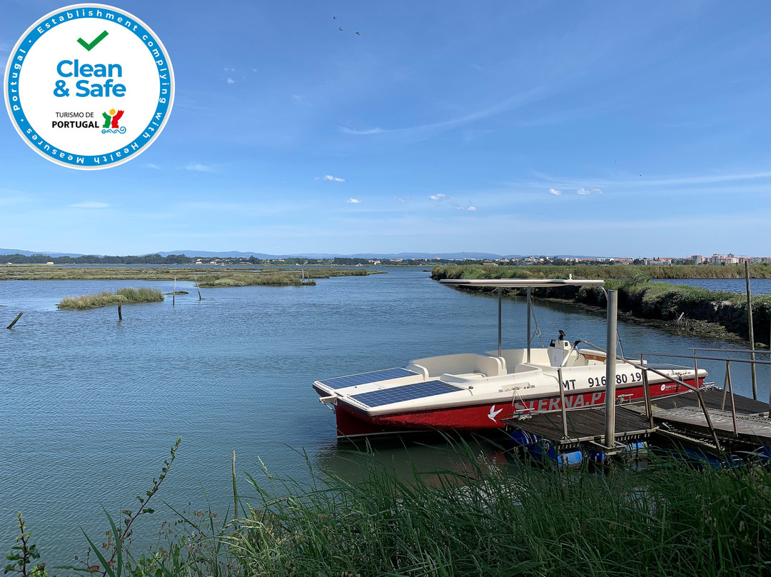 Sterna - Aveiro Ria Tours & Birdwatching-阿威罗必去景点