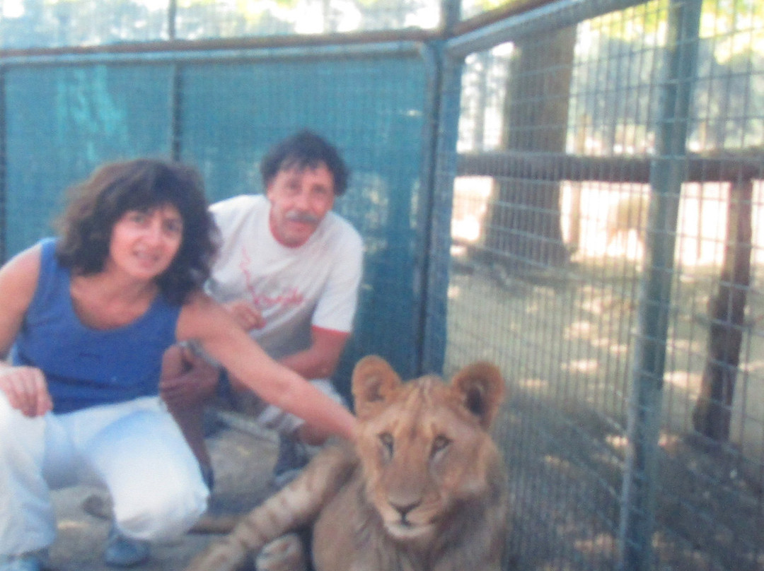 ZOO Lujan景点图片