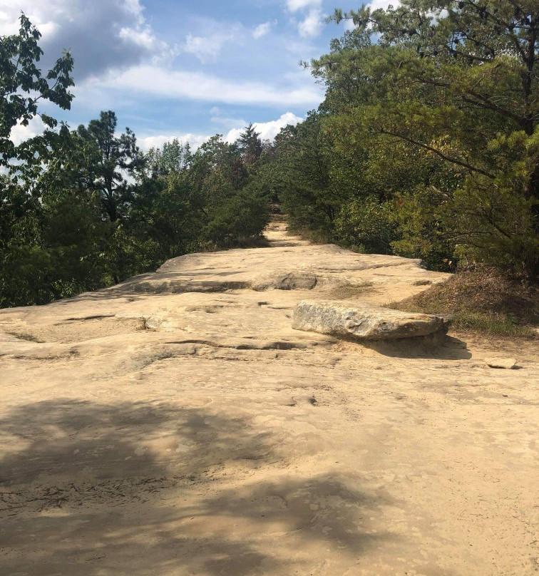 Daniel Boone National Forest-Winchester必去景点