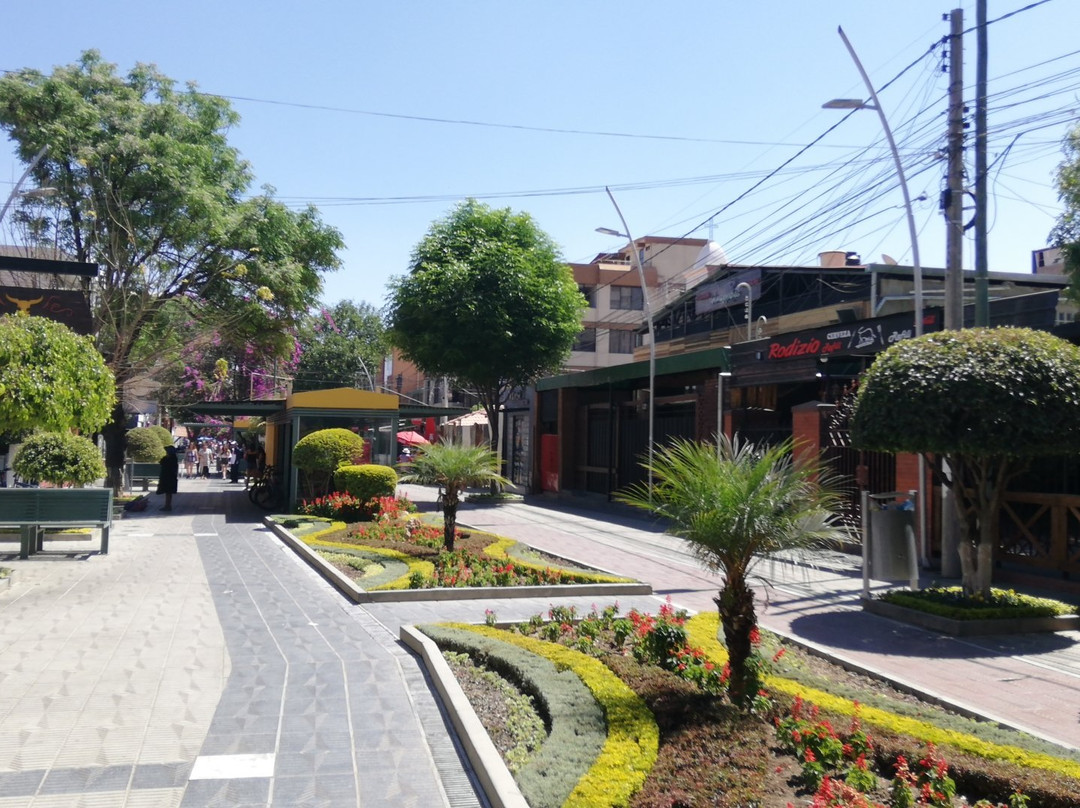 Boulevard La Recoleta景点图片