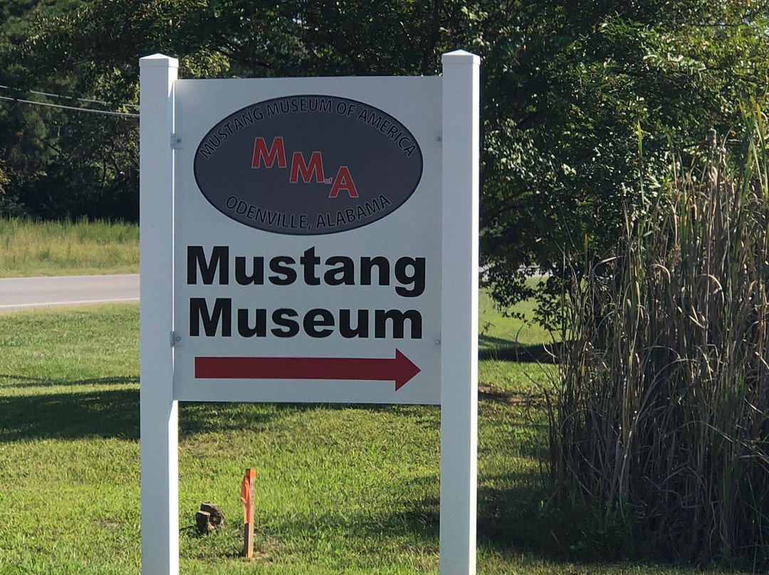 Mustang Museum of America景点图片