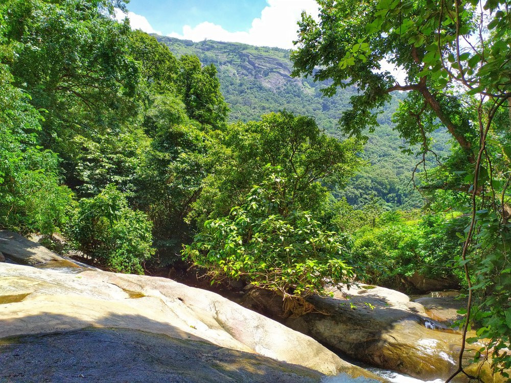 Dhoni Waterfalls景点图片