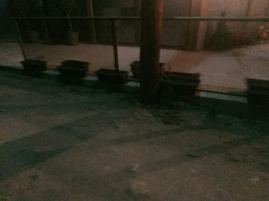 Palladium Sithonia主图