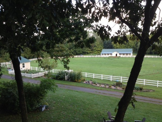 The Speckled Hen Inn Bed & Breakfast主图