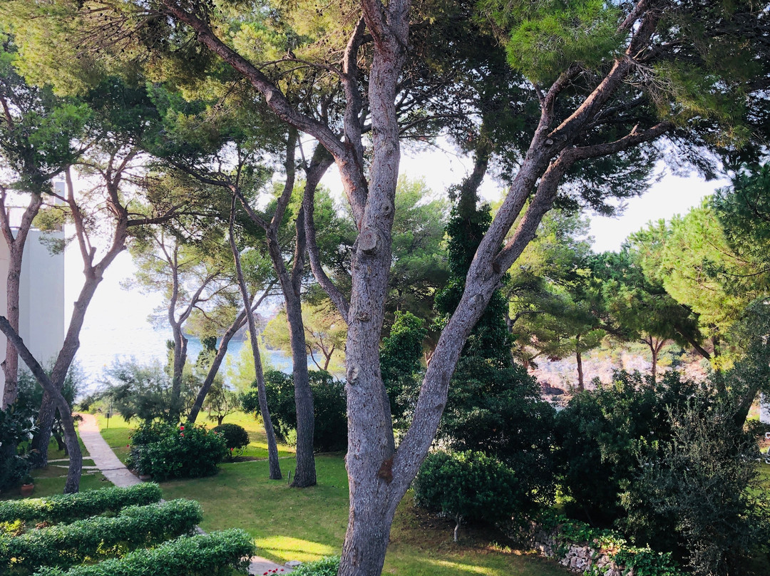 Ferrera Park Apartments主图