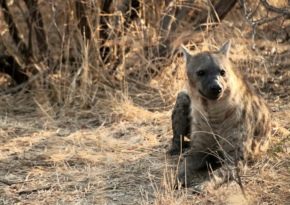 Legend Safaris-克鲁格国家公园必去景点
