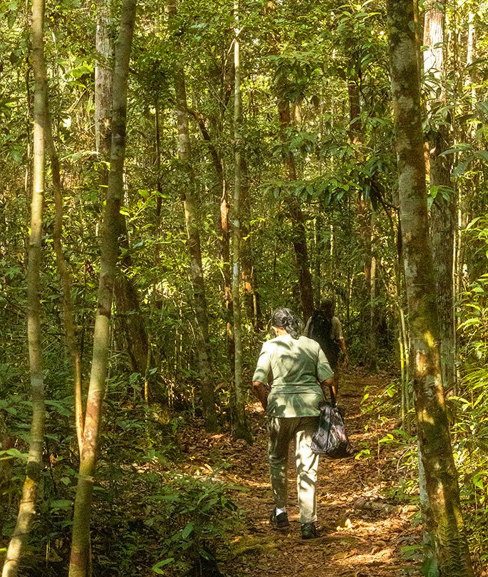 Pondok Tanggui Orangutan Rehabilitation Center-Kumai必去景点