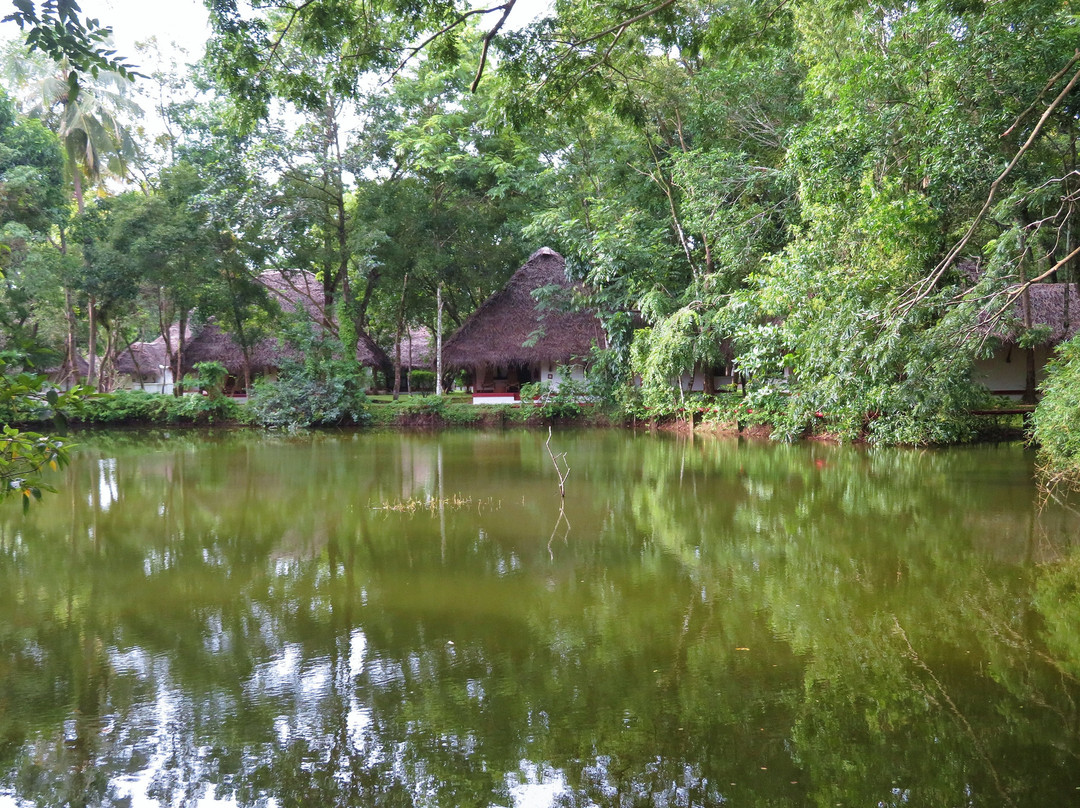 Marari Beach - CGH Earth主图