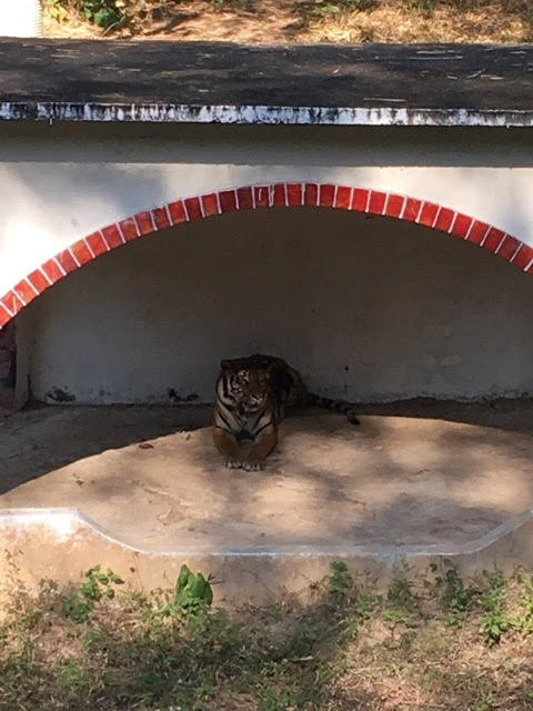 Hlawga Wildlife Park-仰光必去景点