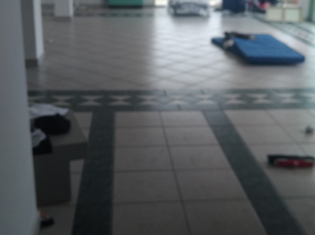 Hotel Elvezia主图