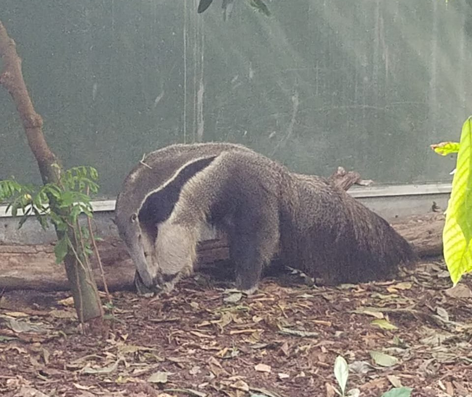 Parc de Lunaret - Zoo de Montpellier景点图片