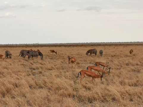 Adventure Mara Tours-蒙巴萨必去景点