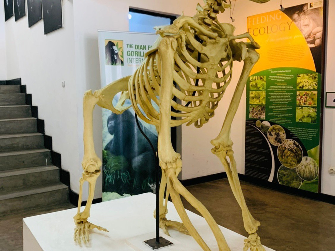 Karisoke Research Center - Dian Fossey Camp景点图片