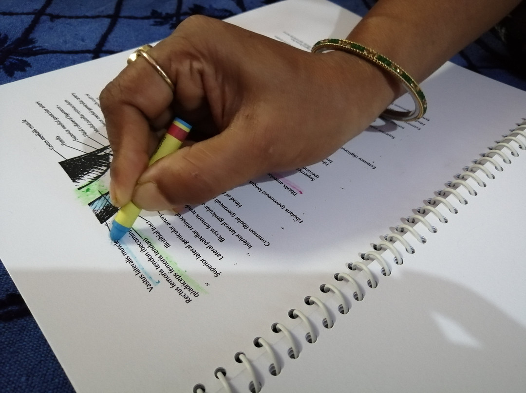 Nirvana - School Of ThaiMassage & Yoga-加雅岛必去景点