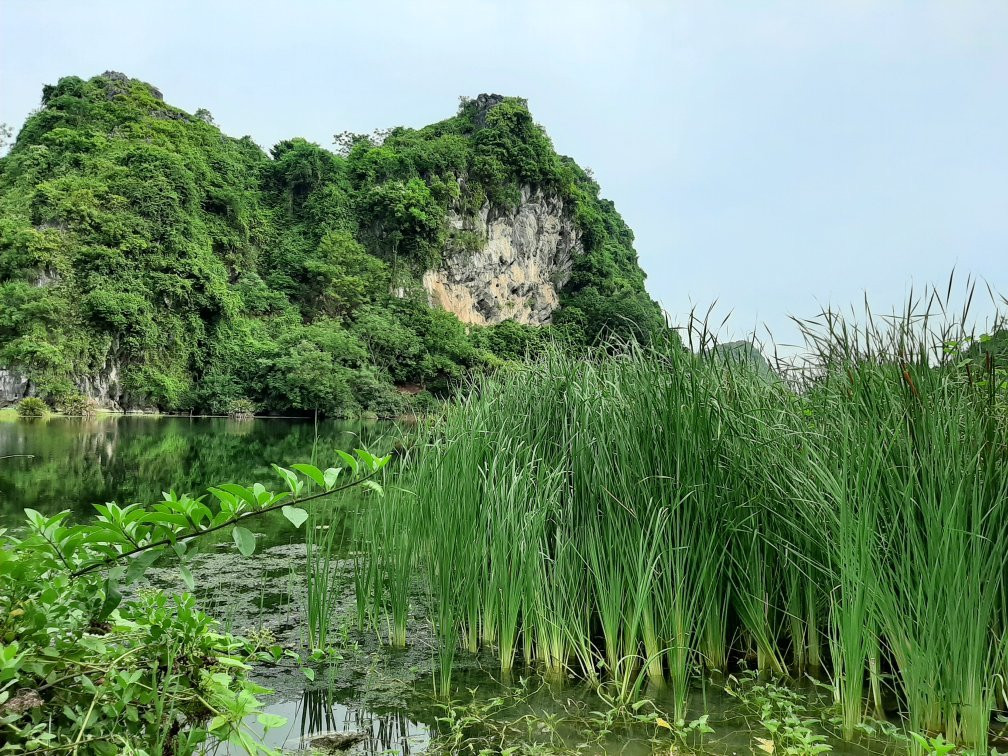 Cua Lo Beach景点图片