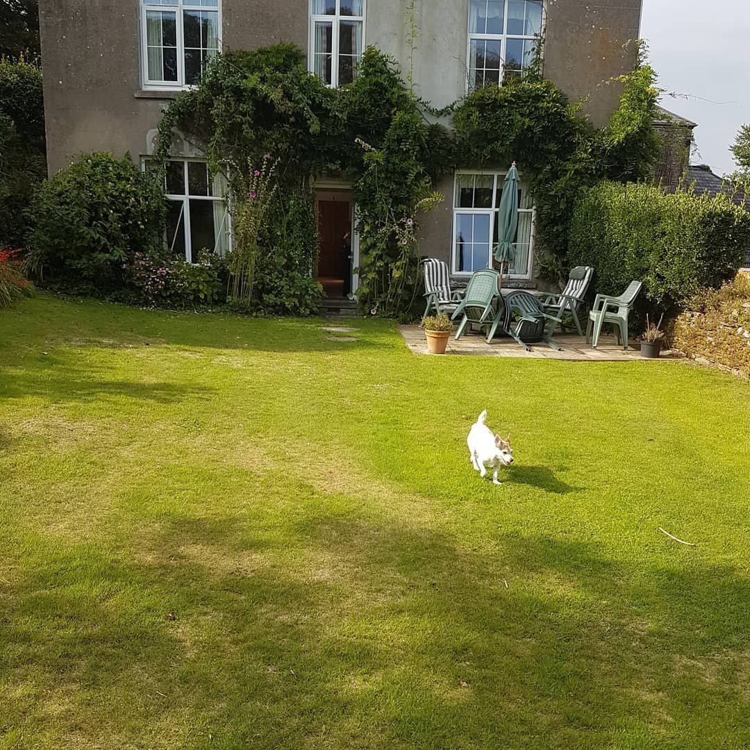 Youngcombe Farm-官方