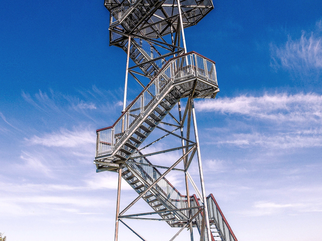 Rubikiai Observation Tower景点图片