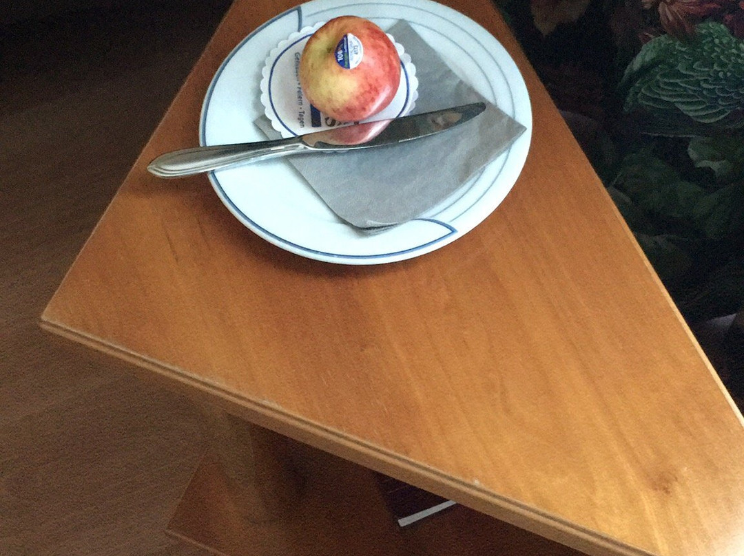 Rheinhotel LARUS主图