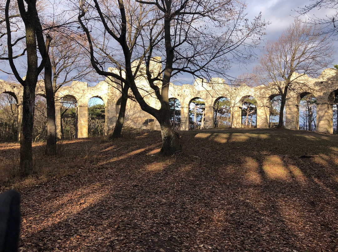 Amphitheater - Künstliche Ruine im Föhrenwald am Kalenderberg景点图片