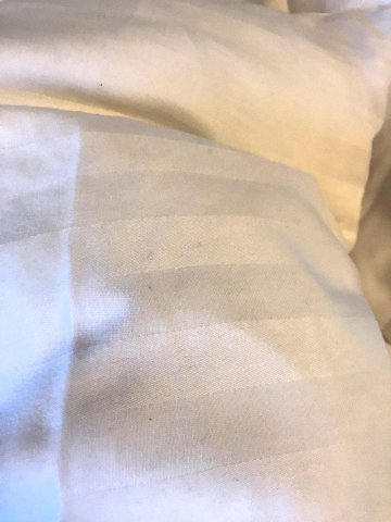 凯斯霍夫酒店-官方