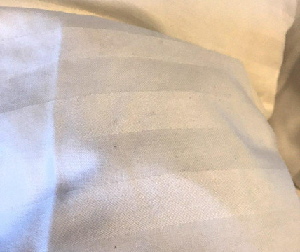 凯斯霍夫酒店主图