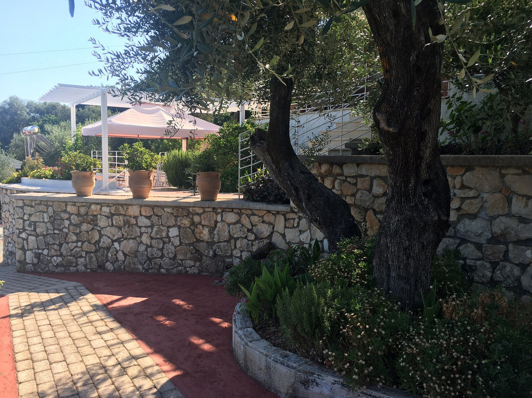 Tesoro of Ithaca主图