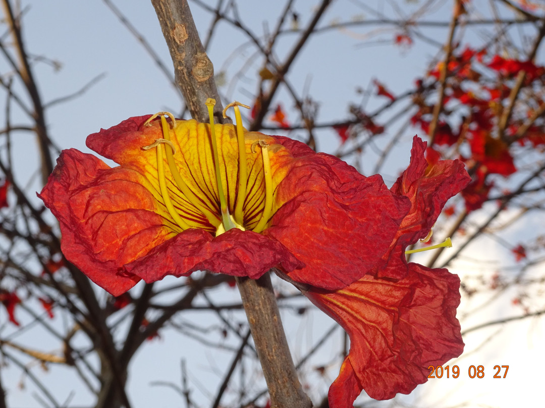 National Botanical Gardens景点图片