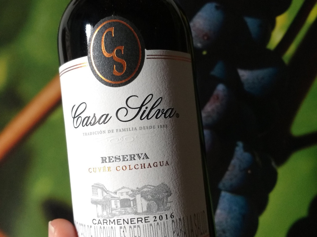 Dolce Vid Wine Bar-莱瓦镇必去景点