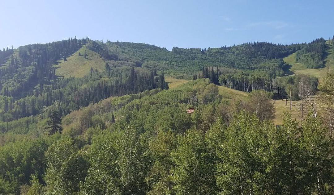 Sunlight Lodge Bed & Breakfast主图