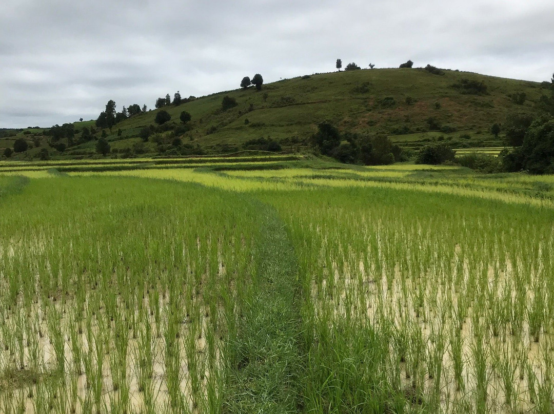Yu Mon & Phyo's Trekking-格劳必去景点
