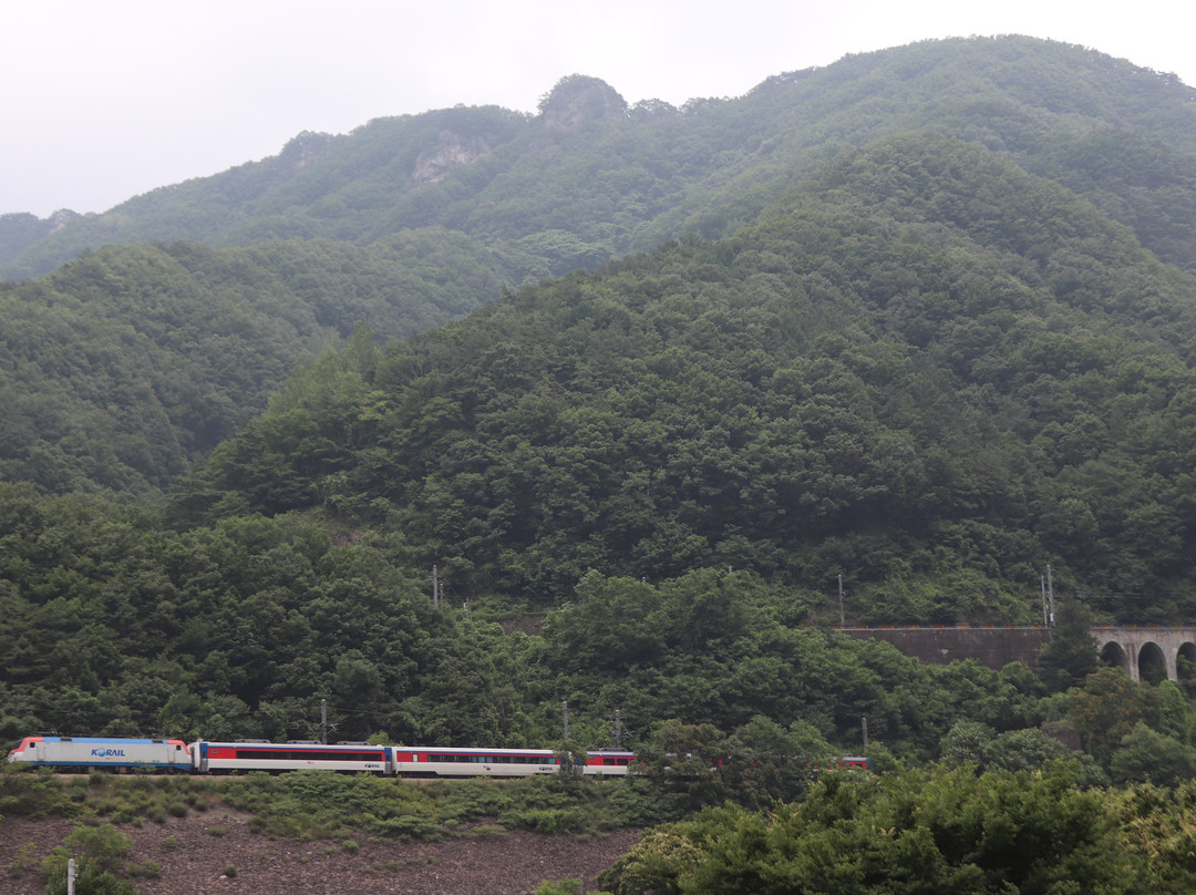 Chiak Station Center Line-原州市必去景点