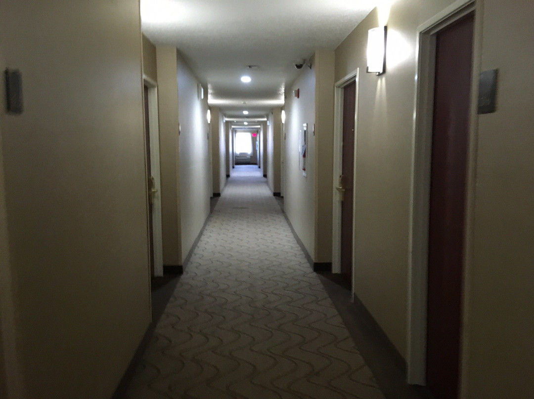 Comfort Inn Meadowlands主图