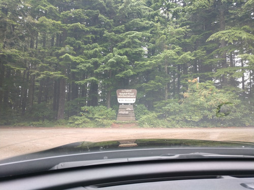 Mount Walker-Quilcene必去景点