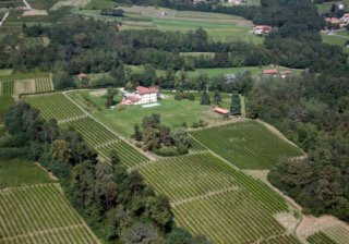 Azienda vitivinicola Il Roccolo di Mezzomerico景点图片