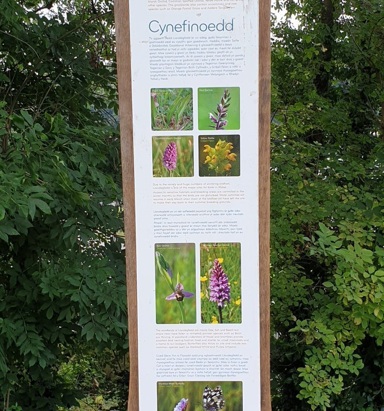 Llandegfedd Reservoir景点图片